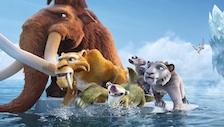 num_box_pic1