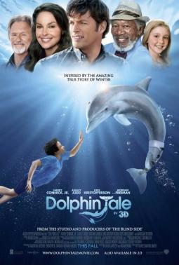 trailer_video