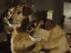 Trailer Image