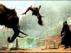 Trailer Image