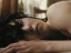 Trailer Image