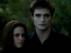 Trailer Image