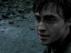 Trailer Image