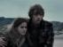 Trailer Image