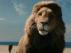 Trailer Image