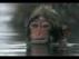 Trailer Image