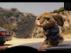 Trailer Image