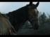 Trailer Image